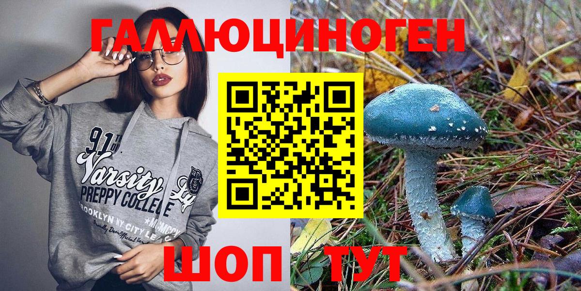 Галлюциногенные грибы Psilocybine cubensis Фрязино